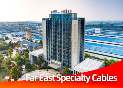 Far East: From Nuclear Power Pioneer to Emerging F...